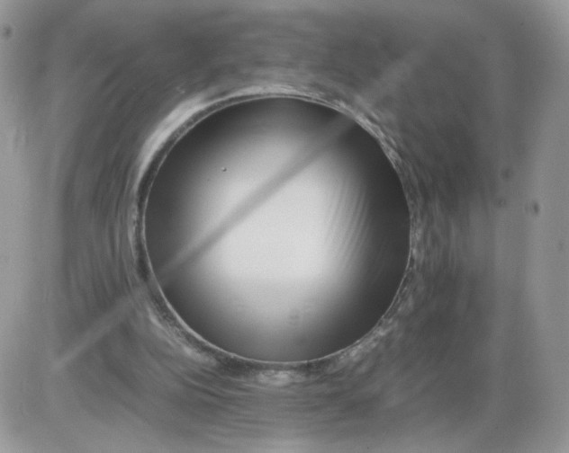 X0000086090152200704202225