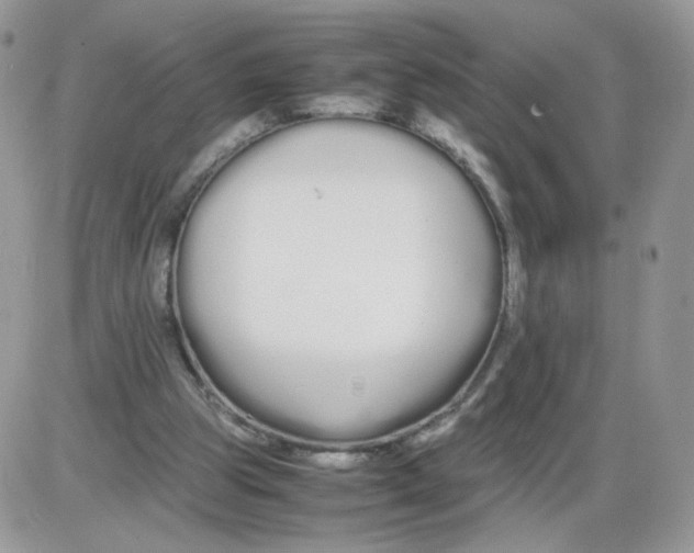 X0000086090153200704202225