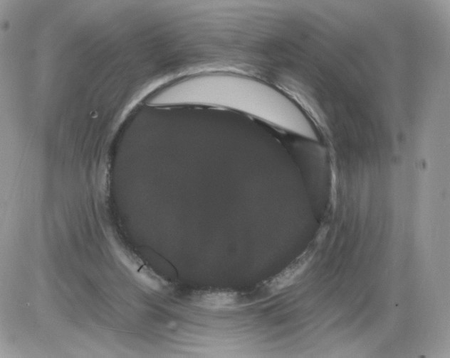 X0000086090156200704202225