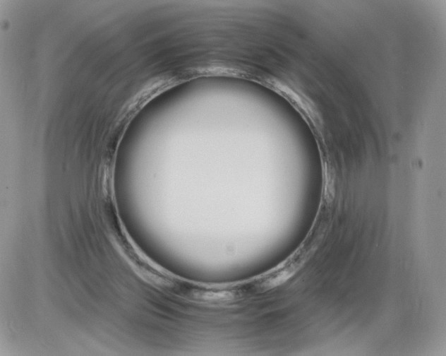 X0000086090157200704202225