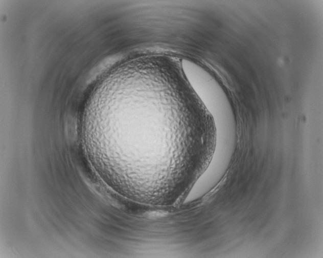 X0000086090158200704202225