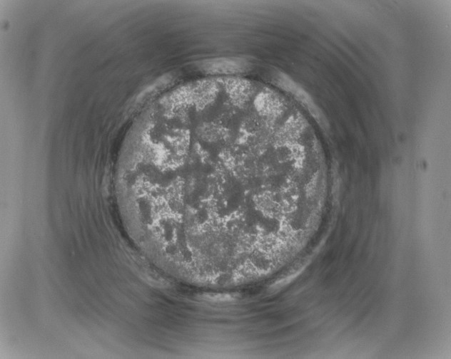 X0000086090161200704202225