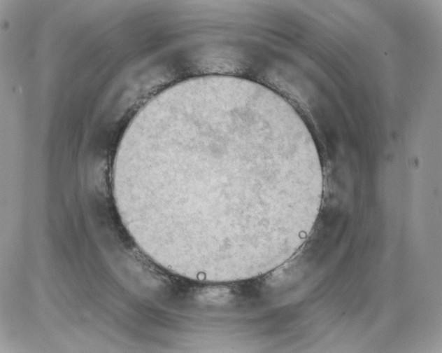 X0000086090162200704202225