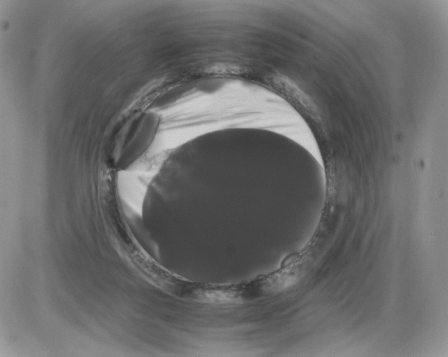 X0000086090163200704202225