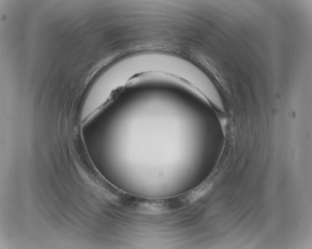 X0000086090164200704202225