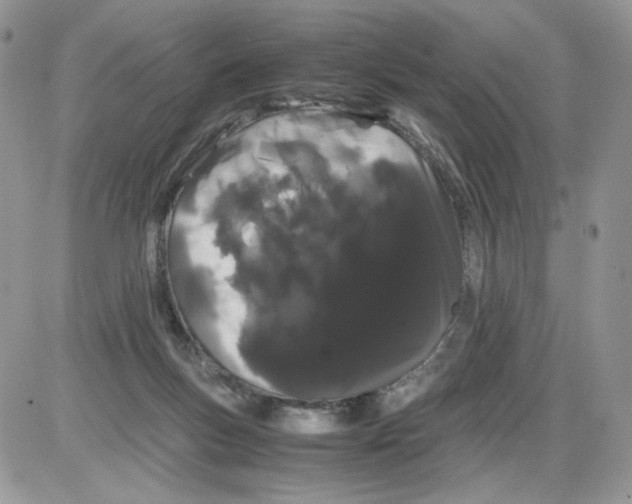 X0000086090167200704202225