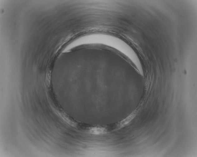 X0000086090168200704202225