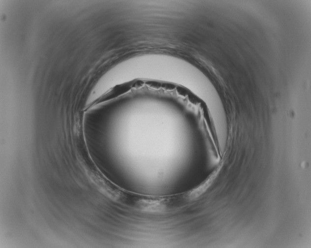 X0000086090170200704202225