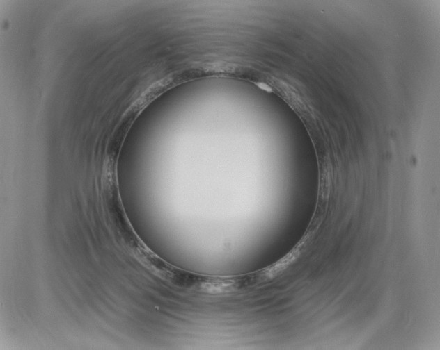 X0000086090172200704202225