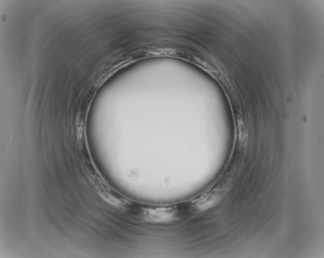 X0000086090173200704202225