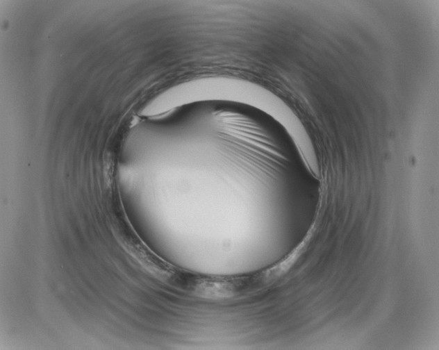 X0000086090174200704202225