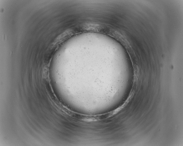 X0000086090175200704202225