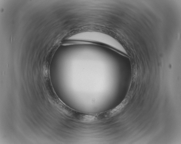 X0000086090176200704202225