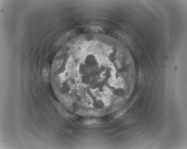 X0000086090177200704202225