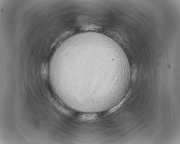 X0000086090179200704202225