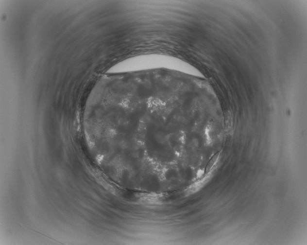 X0000086090182200704202225