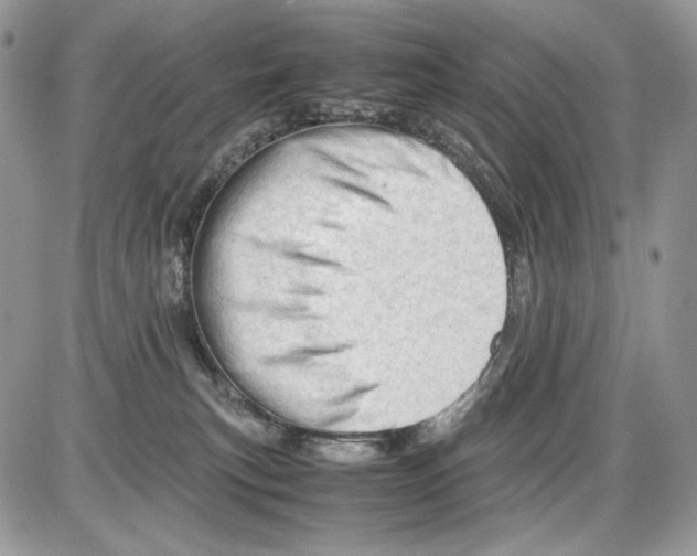 X0000086090183200704202225