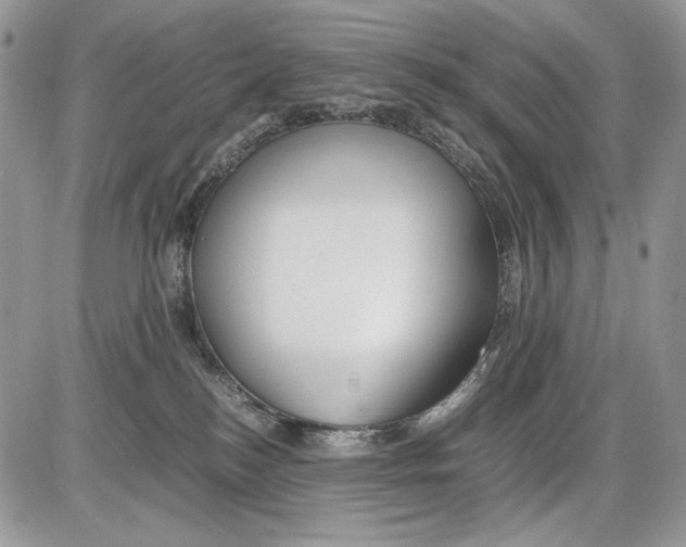 X0000086090184200704202225