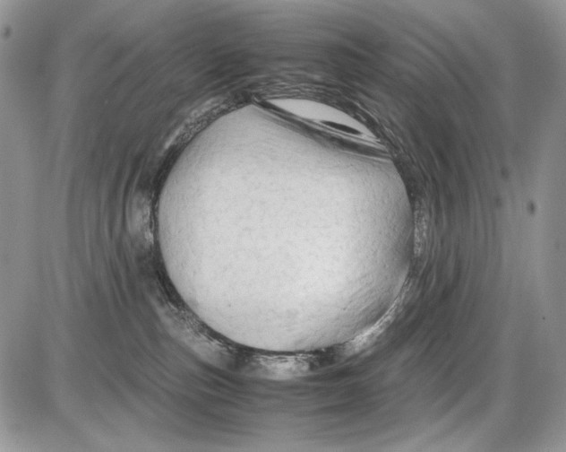 X0000086090187200704202225