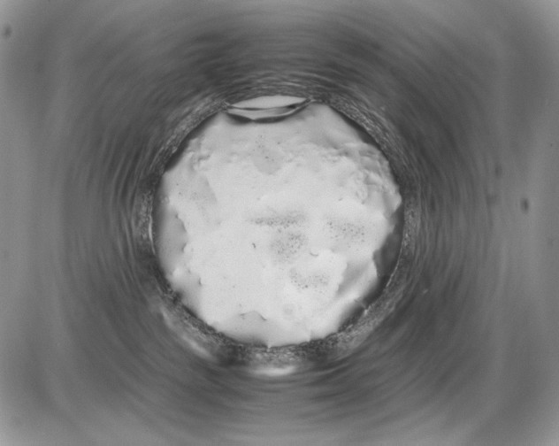 X0000086090189200704202225