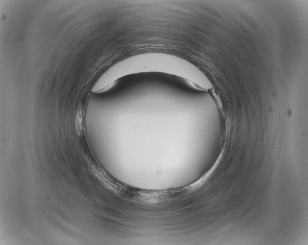 X0000086090190200704202225