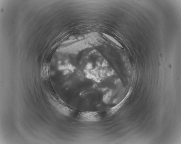 X0000086090191200704202225