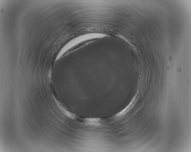 X0000086090192200704202225