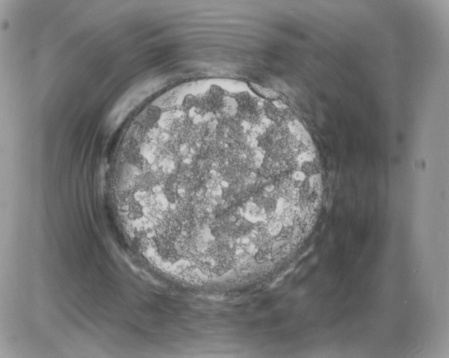 X0000086090194200704202224