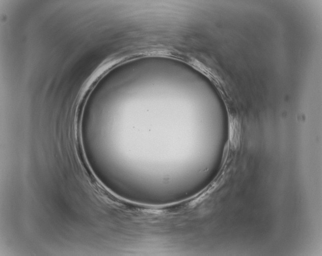 X0000086090195200704202224