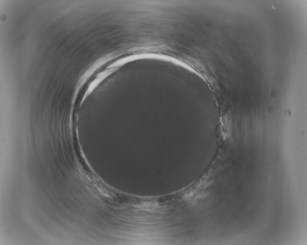 X0000086090196200704202224