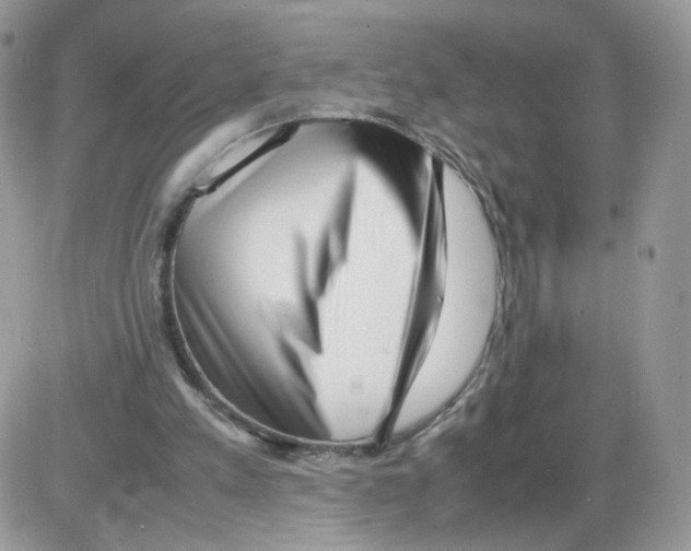 X0000086090197200704202224