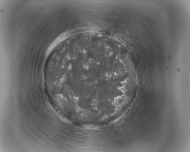 X0000086090198200704202224