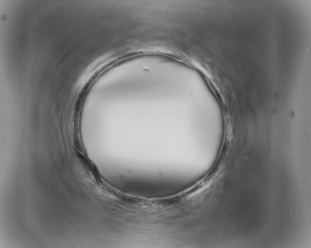 X0000086090199200704202224