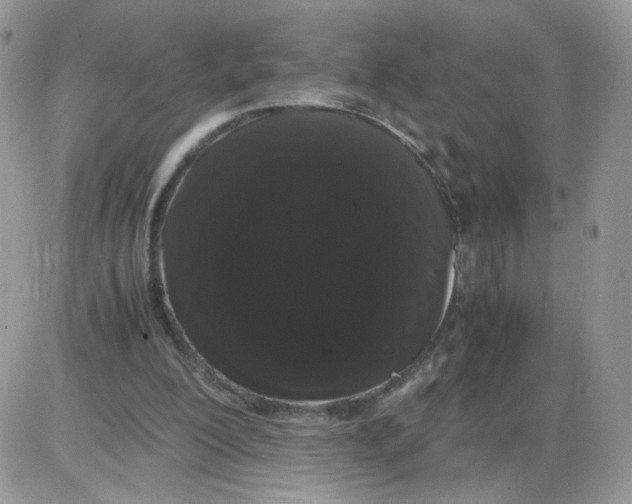 X0000086090200200704202224