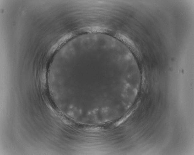 X0000086090202200704202224