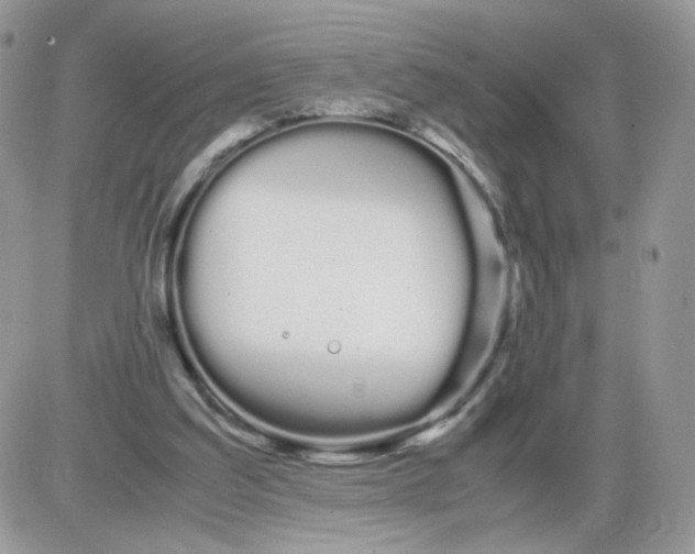 X0000086090203200704202224