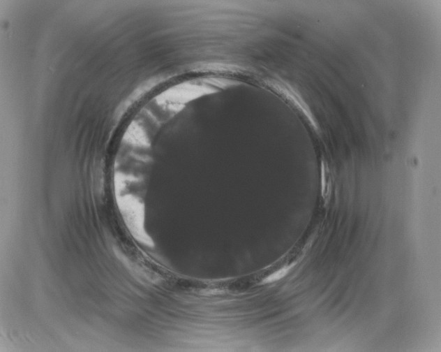 X0000086090204200704202224