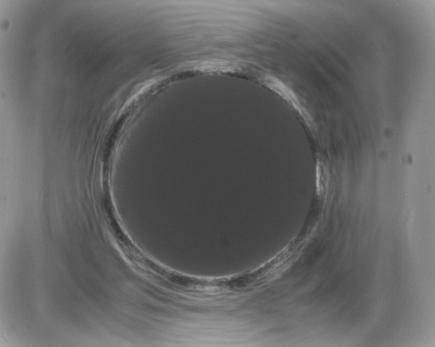 X0000086090205200704202224