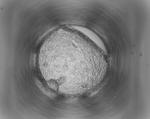 X0000086090206200704202224