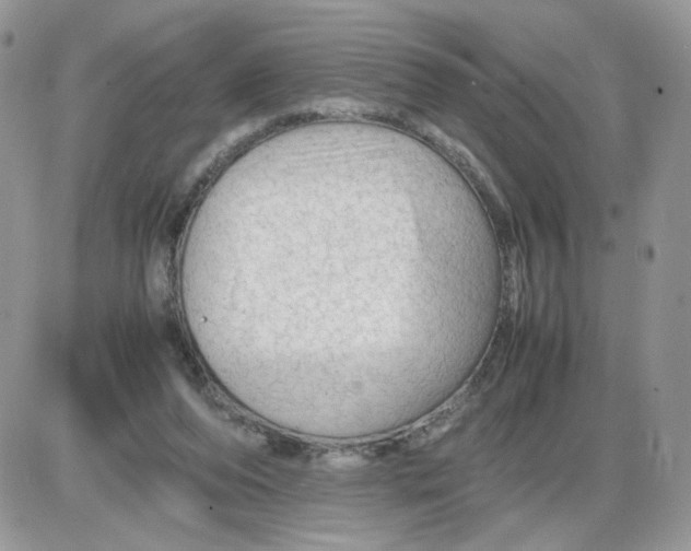 X0000086090208200704202224