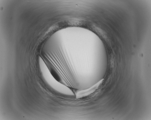 X0000086090211200704202224