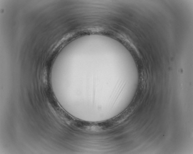 X0000086090212200704202224