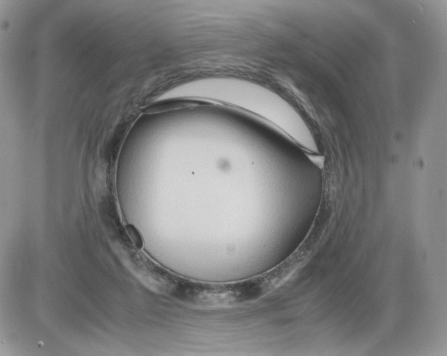 X0000086090213200704202224