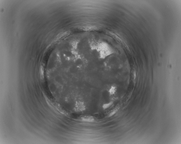 X0000086090214200704202224