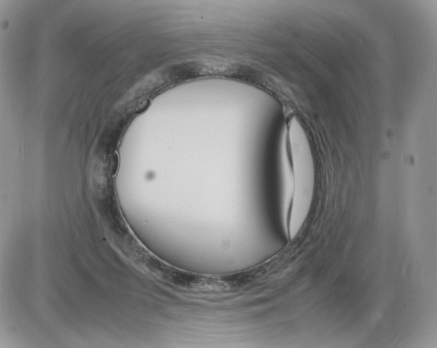 X0000086090215200704202224