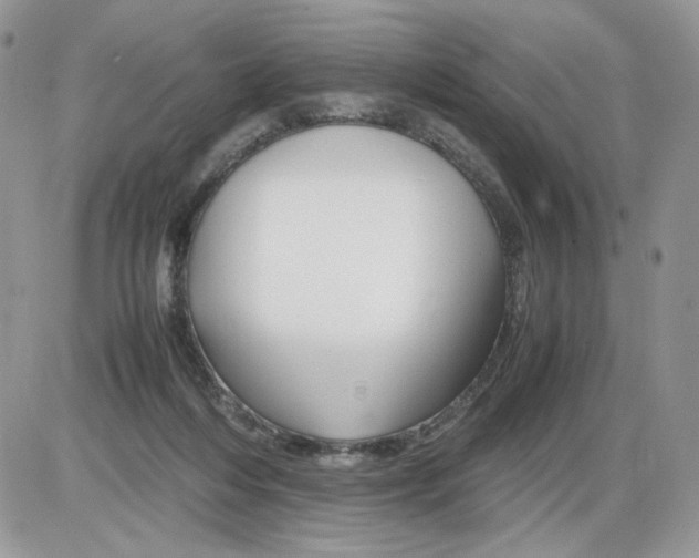 X0000086090216200704202224