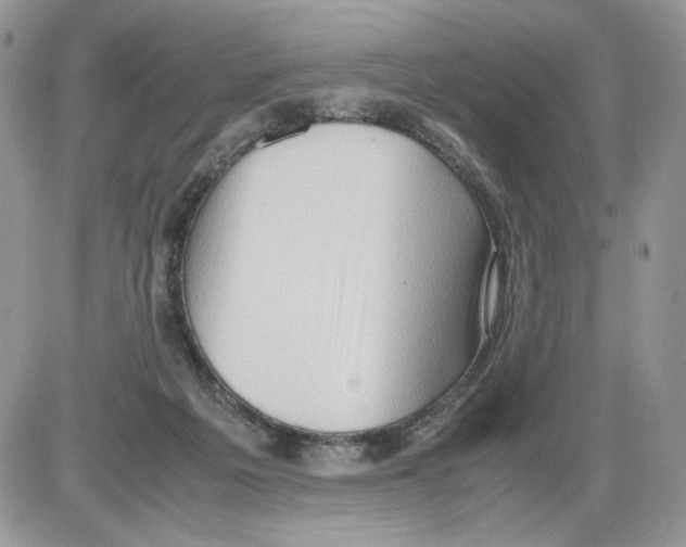 X0000086090217200704202224