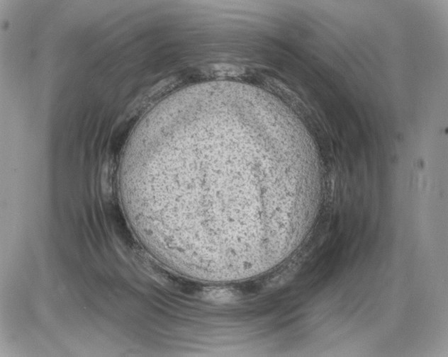 X0000086090218200704202224