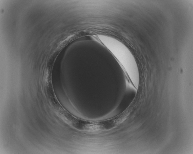 X0000086090219200704202224