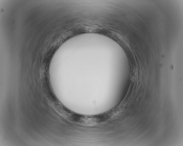 X0000086090221200704202224